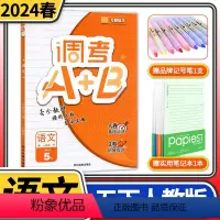语文 五年级下 [正版]2024版调考A+B语文五年级下册人教版 成都期末调研a十b考试小学生专题分类集训同步训练辅导书