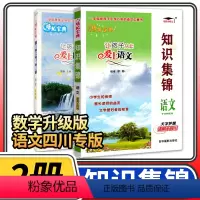 [正版]四川专版培优宝典知识集锦语文+数学 小学知识大全四五六年级知识大集结辅导资料知识手册小升初毕业总复习基础学习工