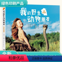 [正版]我的动物朋友蒂皮德格雷著人与自然科学科普图书6-9-12岁儿童人与动物传奇故事 一二年级小学生课外阅读书籍
