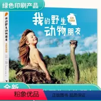 [正版]我的动物朋友蒂皮德格雷著人与自然科学科普图书6-9-12岁儿童人与动物传奇故事 一二年级小学生课外阅读书籍