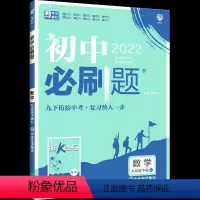 数学 [正版]2024版初中必刷题九年级下册数学RJ人教版同步练习册巧练 初三九下9九年级下册中学教辅资料辅导书中考总复