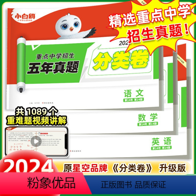 语数英❤小升初真题[分类卷]3本套装 小学升初中 [正版]2024小白鸥星空小升初真题分类卷语文数学英语文小学总复习资料