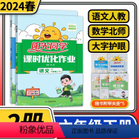 四川人教版语文北师大版数学 六年级下 [正版]全2册 2024春阳光同学课时优化作业六年级下册语文人教版数学北师大版 小