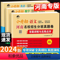 河南专版-小升初真题卷-语文+数学+英语3册 小学升初中 [正版]河南专版2024小升初试卷河南名校招生分班真题卷语文数