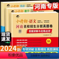 河南专版-小升初真题卷-语文+数学+英语3册 小学升初中 [正版]河南专版2024小升初试卷河南名校招生分班真题卷语文数