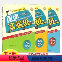 语文+数学+英语(共3册) 小学通用 [正版]直通实验班小学语文数学英语小升初总复习知识大全阅读作文数学思维训练解题方法