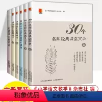 [全套6册]小语人丛书 小学通用 [正版]30个名师经典课堂实录50篇名家卷首语30位十大青年名师课例15组热点微题研讨