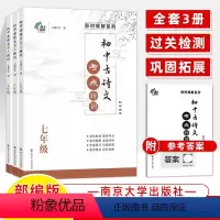 初中古诗文考点特训 初中通用 [正版]初中现代文言文阅读专项技法篇古诗文考点特训七八九年级中考高分课外专项非连续性文本中