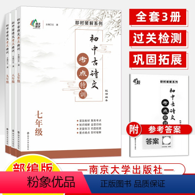 初中古诗文考点特训 初中通用 [正版]初中现代文言文阅读专项技法篇古诗文考点特训七八九年级中考高分课外专项非连续性文本中