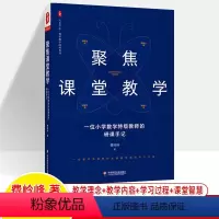 [正版]聚焦课堂教学一位小学数学教师的研课手记费岭峰 大夏书系数学教学培训用书 课堂现场观摩课活动设计教师用书教研员参