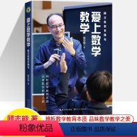 顾志能随笔.爱上数学教学 [正版]爱上数学教学 大教育书系 问题点燃课堂顾志能教育随笔精选教学哲思师生故事生问课堂观课品