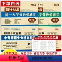 [2册]小升初招生分班bi刷卷.语文+数学 [正版]2024四川十大名校小升初分班必刷卷语文数学英语初一入学招生真题集锦