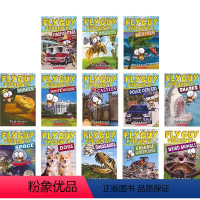 学乐苍蝇小子13册 [正版]学乐苍蝇小子百科英文绘本15册 Scholastic Reader Level 2 Fly