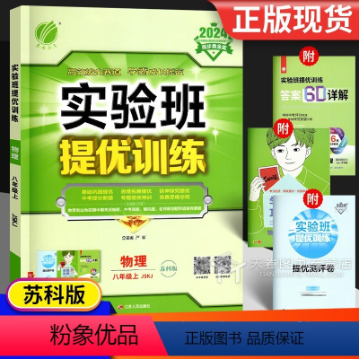 物理 八年级/初中二年级 [正版]2024 实验班提优训练八年级物理 苏科版苏教版江苏 初二物理上册同步练习册专项训练试
