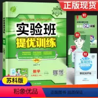 数学 九年级上 [正版]2024版 实验班提优训练九年级数学上册 苏科版苏教版 初三9年级 初中同步练习册题专项训练江苏