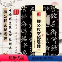 [正版] 柳公权玄秘塔碑 16开柳体楷书毛笔字帖 中国书法传世碑帖精品 简体旁注 原碑帖 玄秘塔 湖南美术出版社