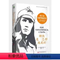 [正版]钢铁是怎样炼成的奥斯特洛夫斯基 文学书籍