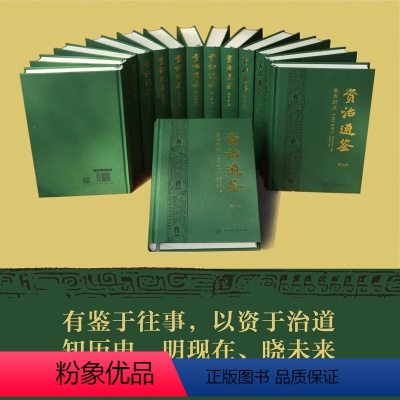 [正版]资治通鉴全本新注全14册 张大可全本注释简体横排参照中华书局版资治通鉴名家导读经典古籍 97875680952