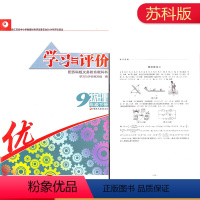 学习与评价 9下物理 苏科版 [正版]2022春学习与评价物理九年级下册苏科版含试卷和答案江苏凤凰教育出版社初三下学期畅