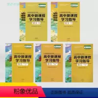 语文 必修下册 [正版]河南大象版高中新课程学习指导语文必修上册下册选择性必修上中下册配人教版教辅高中生同步教辅资料辅导