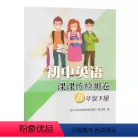 英语初中课课练检测卷9下译林 初中通用 [正版]苏教版初中英语课课练检测卷九年级下册配套试卷译林版初三8年级下册初中生同
