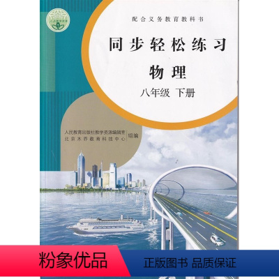 [正版]人教版八8年级下册物理同步轻松练习物理八年级下册配套练习册人民教育出版社物理8八年级下册同步轻松练习