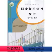 [正版]人教版七7年级下册数学同步轻松练习数学七7下配套练习册人民教育出版社数学7七年级下册同步轻松练习