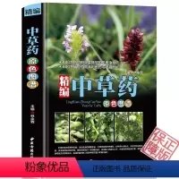 [正版]精编中草药原色图谱彩图版精装收录400种常见中草药植物特征性味功能炮制主治用法 中医养生保健医学入门书籍 中草