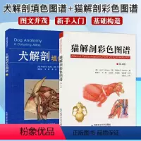 [正版]猫解剖彩色图谱+犬解剖填色图谱 套装两本 猫解剖书籍 犬解剖书籍 犬猫解剖书籍 犬猫解剖医学书籍
