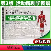 [正版] 运动解剖学图谱修订第3版 肌肉塑造教程全书 人民体育健身书籍 肌肉健美训练图解 医学实用性人体图谱 运动生理