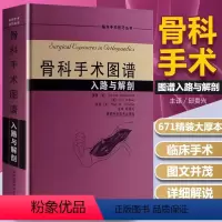 [正版]书骨科手术图谱入路与解剖 骨科医学书籍实用骨科学外科学骨科手术学骨关节功能解剖学骨科术后康复指南骨科入门书籍