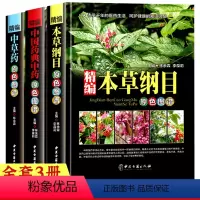 [正版]精编中草药本草纲目中国药典中药原色图谱临床大本草中医中草药书籍中药快速查用本草求真乘雅半偈丹药本草体证录唐容川