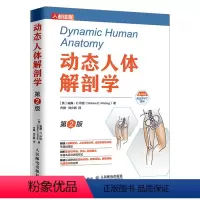[正版]书 动态人体解剖学 **2版 运动肌肉解剖刨学图谱健身运动医学书健美训练图解解读人体解刨学运动机制评估方法理论