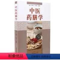 [正版]中医药膳学理论基础中药材食材营养成分医学特征常见病的病因病机诊断食疗药膳配制膳谱保健药膳图谱中医食疗书籍中医药