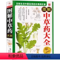 [正版] 图解中草药大彩图版 中药大典 中药材识别图鉴书籍 中草药辨别图谱新手入门 中医辨识中草药中医医学书籍 家药典