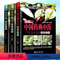 [正版]精编3册 中国药典中药草药本草纲目 原彩色图鉴图谱 中药方剂医药百科全书 中医基础理论医学入门药材大全 中草药