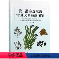 [正版]黄、渤海及东海常见大型海藻图鉴 刘涛 主编 生命科学/生物学专业科技 书店图书籍 中国海洋出版社