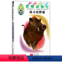 [正版] 战斗的野猪 小林清之介文 科普百科动漫与绘本 书籍 动漫与绘本书籍 中国人口出版社