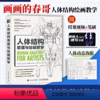 [正版]人体结构原理与绘画教学 画画的春哥人体结构造型手绘技法游戏动漫人体结构原理与绘画教学漫画教程书插画教程