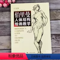 [正版]伯里曼人体结构绘画教学白金版 动漫人物造型伯里曼速写书人物入门临摹基础绘画书美院人体速写人物艺用人体骨骼肌头