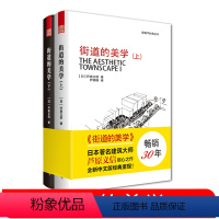 [正版]街道的美学(上、下) 建筑与规划建筑设计书籍 文化象征精品设计 外部空间街道景观住宅建筑学 理论与实际对比日本