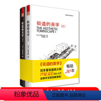 [正版]街道的美学(上、下) 建筑与规划建筑设计书籍 文化象征精品设计 外部空间街道景观住宅建筑学 理论与实际对比日本