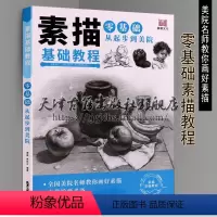 [正版]素描基础教程 零基础从起步到美学 美院名师教你学好素描 绘画技法书籍 北京工艺美术出版社