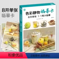 [正版]色彩静物临摹卡20218开单张1:1等大临摹水粉基础水果蔬菜花卉单体组合步骤照片对画写生技法美术高联考名师教程