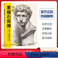 [正版]领悟素描石膏像18章节全面解析技法2021五官到头像结构步骤临摹画册男青老年石膏像美术素材绘画高考联考教程人物