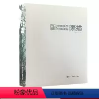 [正版]合情美学经典课程:素描 朱敬东主编 上百幅人物动物山水花木风景建筑素描绘画技法解析鉴赏 中小学生素描技法入门及
