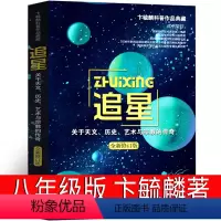 [正版]追星——关于天文、历史、艺术与宗教的传奇卞毓麟著长江文艺出版社八年级课外书阅读书籍初中生图书初二百班千人张祖庆