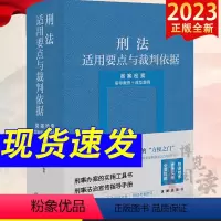 [正版]2023新书 刑法适用要点与裁判依据 类案检索 指导案例+典型案例 郝银钟 罗书平 刑事办案的实用工具书 刑事