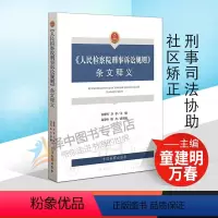 [正版]2020新书 人民检察院刑事诉讼规则条文释义 童建明 万春 刑法执行 刑事司法协助 社区矫正 法律书籍 中国检