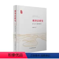 [正版]2019新书 刑事法研究 第二卷2卷 国际刑法学 张智辉 国际刑法基本问题 法学理论 法律条文 法律书籍 中国